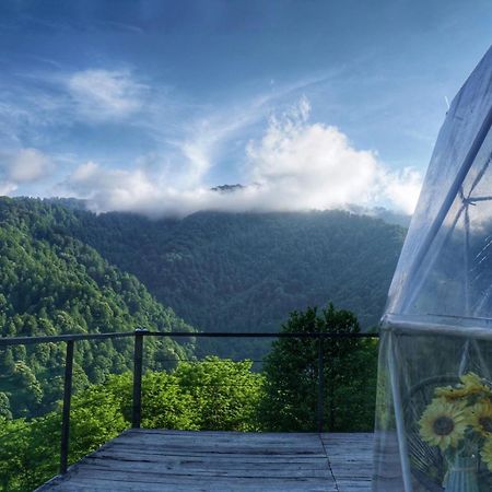 Mtirala Glamping Hotell Chakvistavi Eksteriør bilde