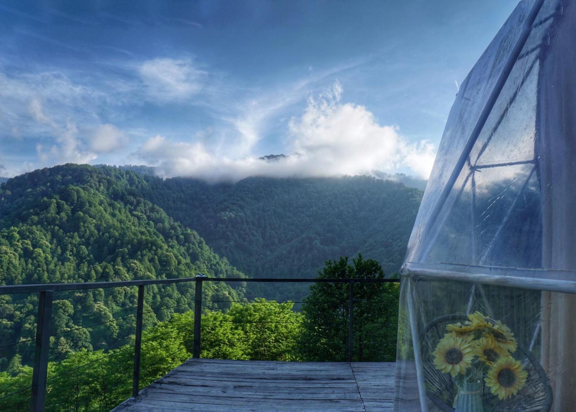 Mtirala Glamping Hotell Chakvistavi Eksteriør bilde